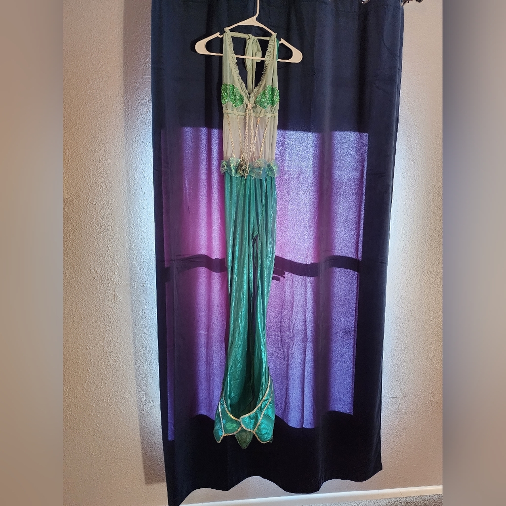 Ladies Mermaid Costume Large